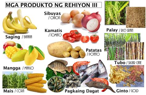 likas na yaman ng rehiyon 3|Rehiyon III.